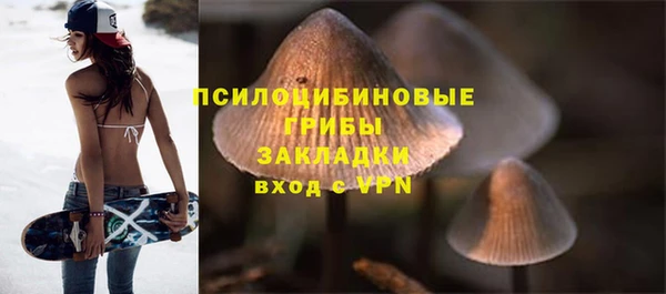 мдма Бородино